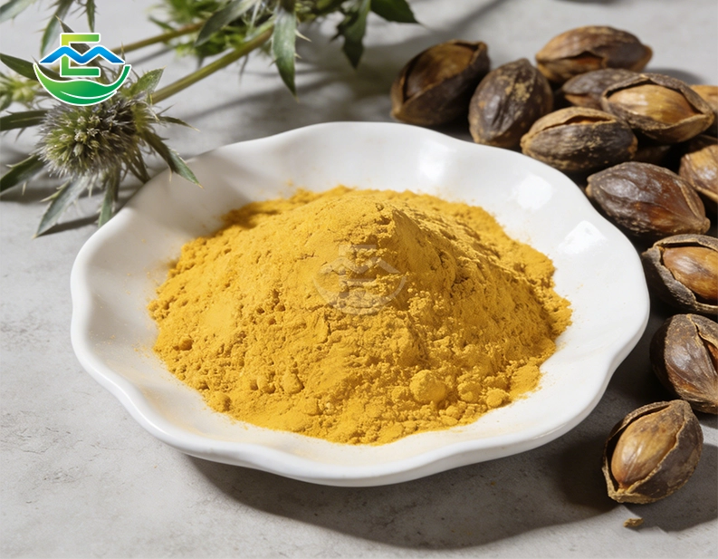 Milk Thistle Extract 80% Silymarin